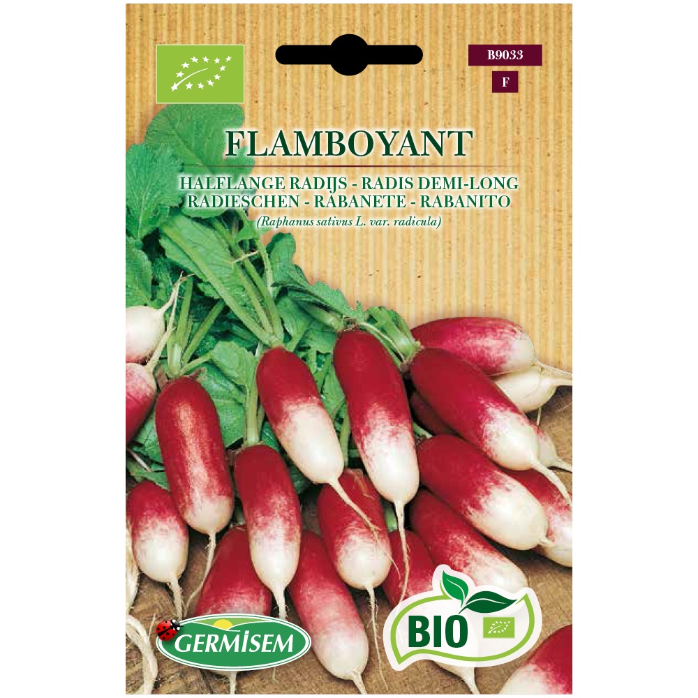 Sementes de Rabanete Flamboyant BIO